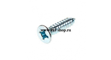 Винт ENSTO PLP99 фото 1