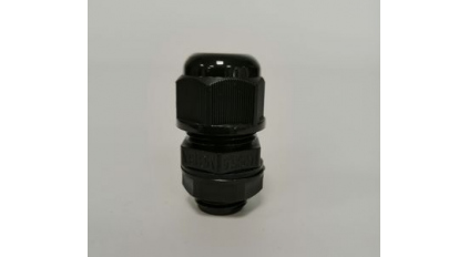 501_pic2