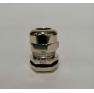496_pic2